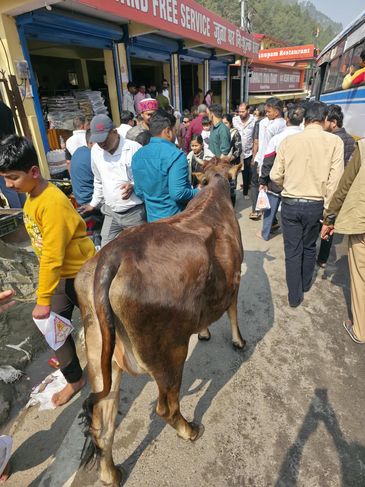 A busy market street with a cow among the crowd