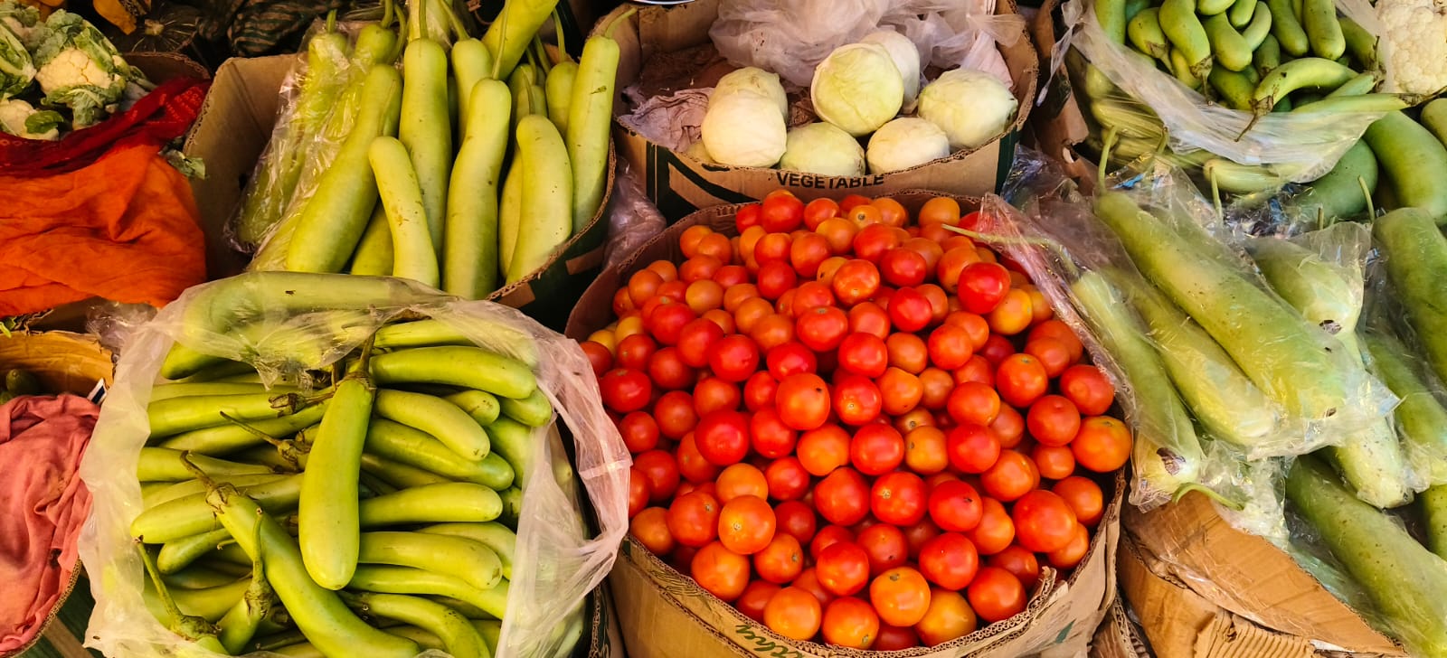 A vibrant vegetable market stall with tomatoes and gourds