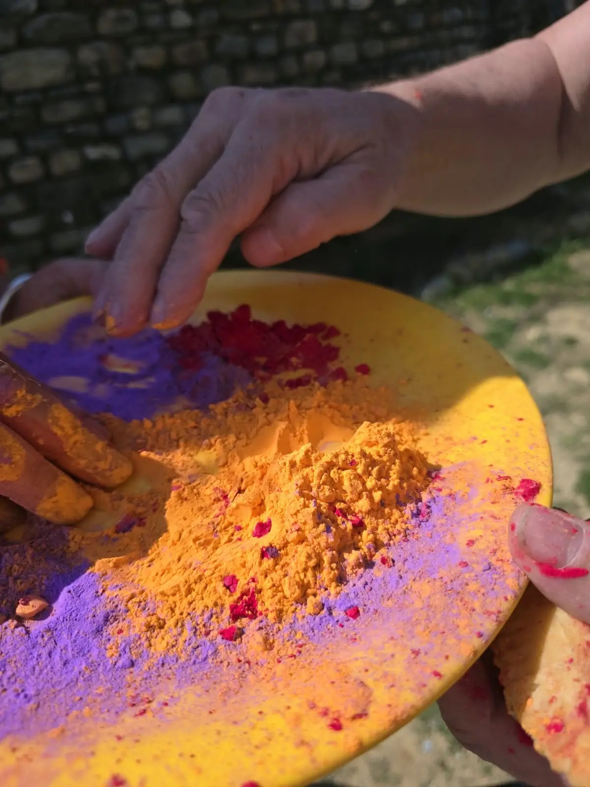 Hands holding a plate of coloured Holi powder